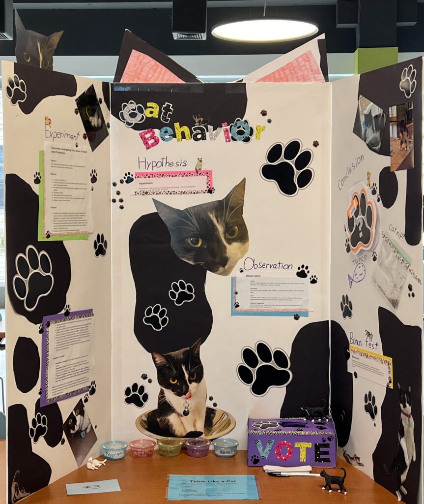 science fair project cat behaviors